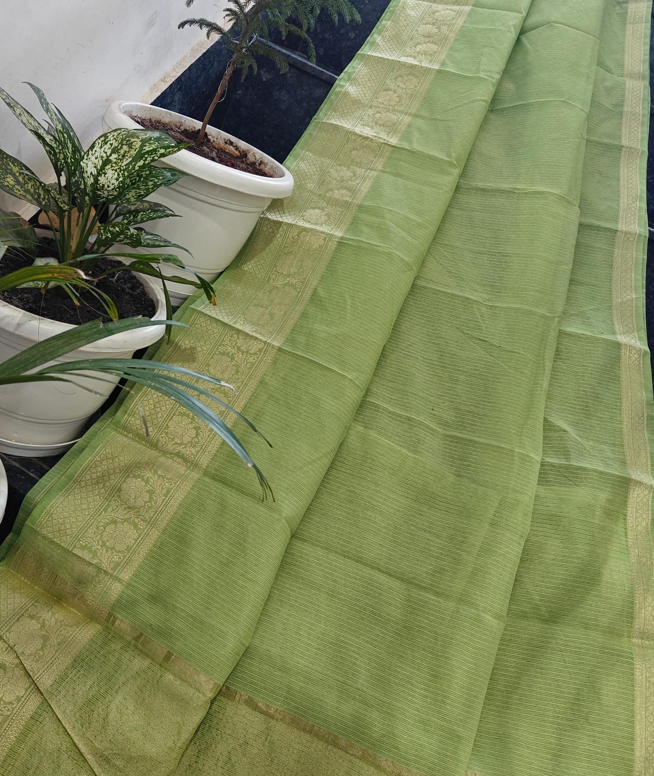 KD80zari border Dhani green Kota Doriya Saree