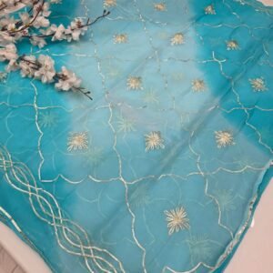 Rajputi Gottapatti saree